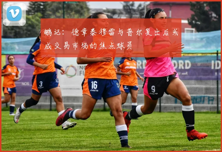 鹕记：德章泰穆雷与普尔复出后或成交易市场的焦点球员