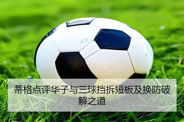 蒂格点评华子与三球挡拆短板及换防破解之道 - xingkong